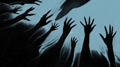 Глазами пса