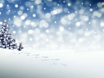 Снега, праздника и ёлку!