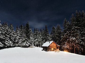Сон в новогоднюю ночь