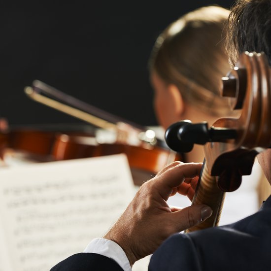 Для милых дам