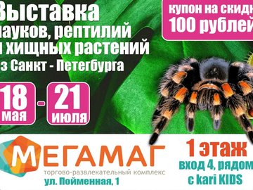 Выставка пауков из Санкт-Петербурга!