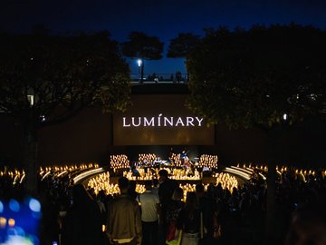 Luminary. Симфония в парке