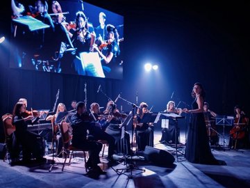 Alta Musica Orchestra. Зимние сказки при свечах. Щелкунчик, Лебединое озеро, Спящая красавица