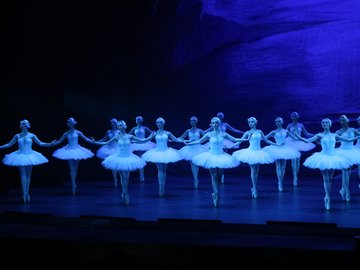 Лебединое озеро