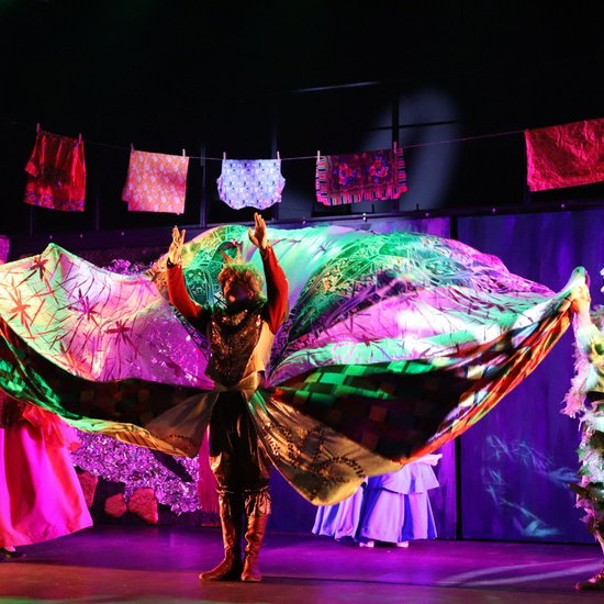 Чёрная курица