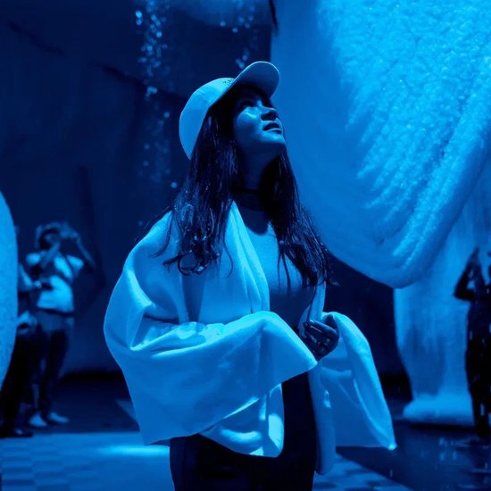 Иммер*снежное представление «Вьюжн»