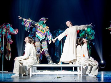 Финист ясный сокол