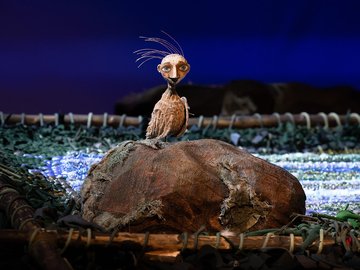 Белая уточка