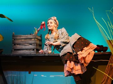 Гадкий утёнок