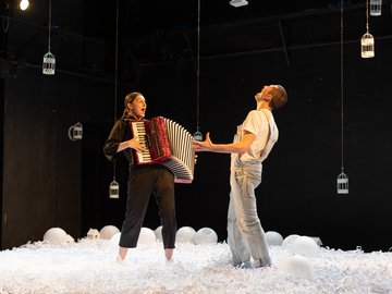 Чёрная курица