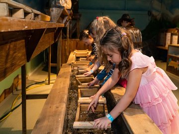 Золотой рудник