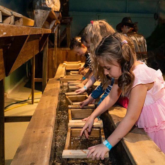 Золотой рудник