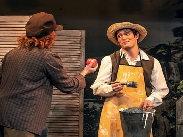 Приключения Тома Сойера