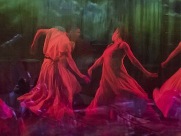 Приговор любви