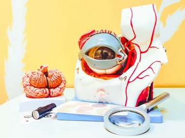 В поле зрения