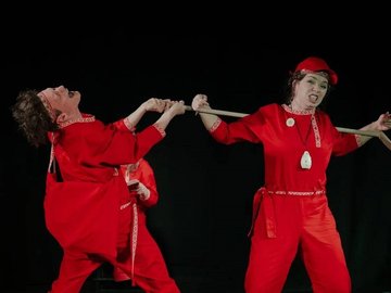 Богатырь Степан Ромашкин