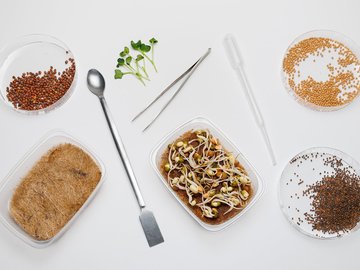 Лаборатория микрозелени