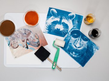 Фотография в синих тонах