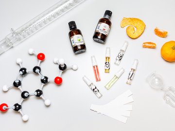 Планета вкусов