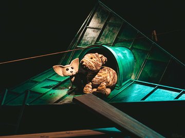 Котенок по имени Гав