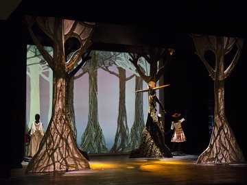 Путешествие в театральную историю