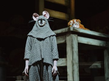 Все мыши любят сыр