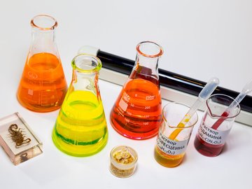 Почему светятся медузы?