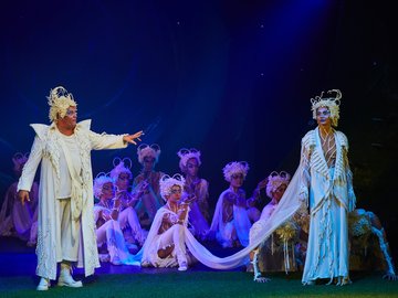 Сон в летнюю ночь