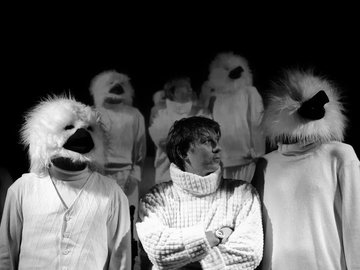 Пингвин, поморник и полярник