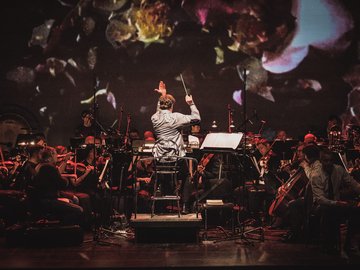 Arte Musicum. Шедевры мировой киномузыки