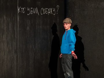 Загадочное ночное убийство собаки