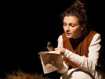 Дневник ласточки