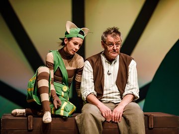 Петсон и Финдус