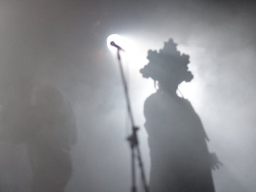 Чёрная лихорадка