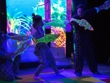 Маленький енот