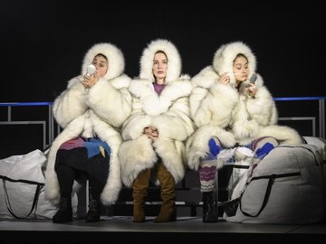 Полярная болезнь