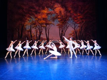 Лебединое озеро