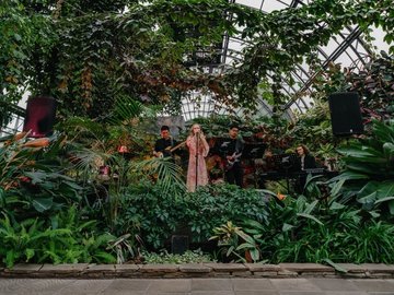 Музыка в оранжерее Таврического сада