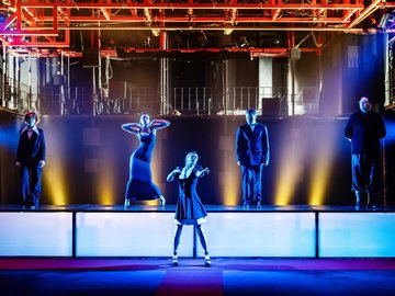 Парадокс скворца