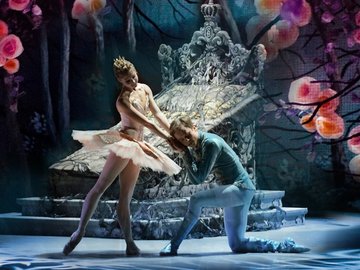 Спящая красавица