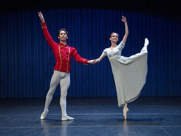 Balletgala / Гала-балет