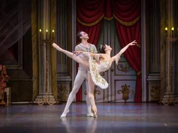 Спящая красавица