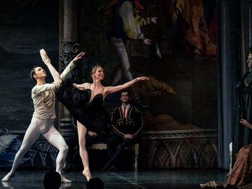 Спящая красавица