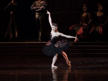 Лебединое озеро