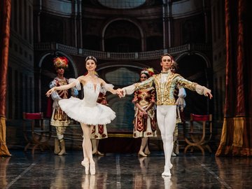 Спящая красавица