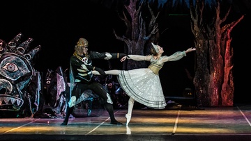 Жар-птица. Весна священная