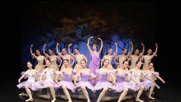 Спящая красавица