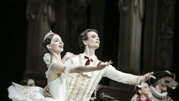 Спящая красавица