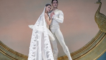 Спящая красавица