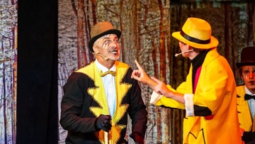 Путешествие Нильса с дикими гусями